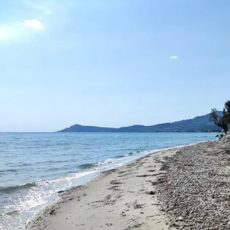 Scioni